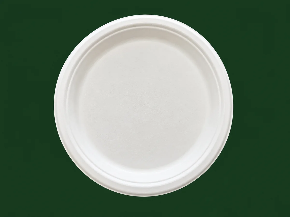 10 inch Round Plate